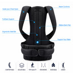 Posture Support Belt