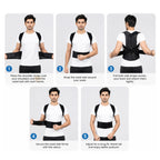 Posture Support Belt